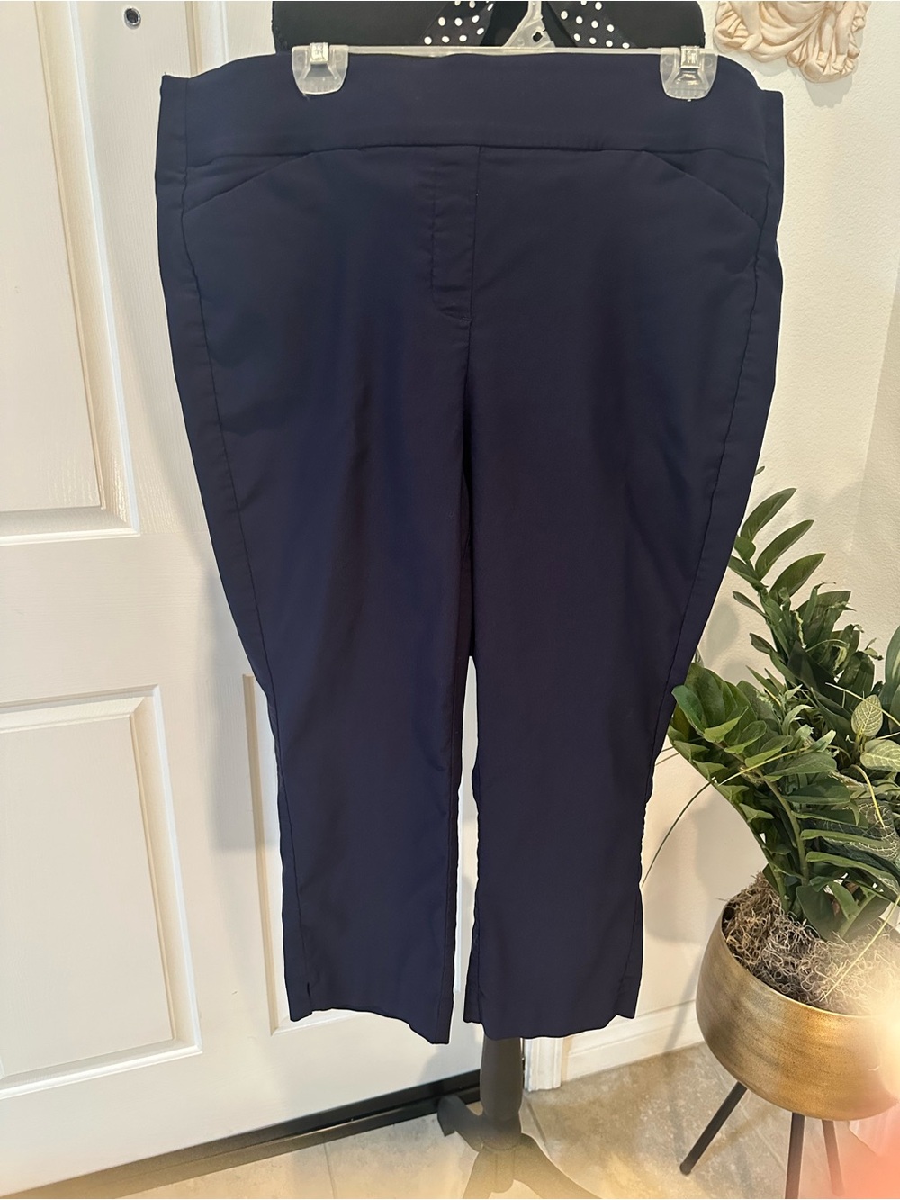 Apt. 9 Dark Navy  Dress Capri Pants